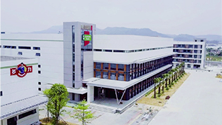 多力厦门海沧厂简介